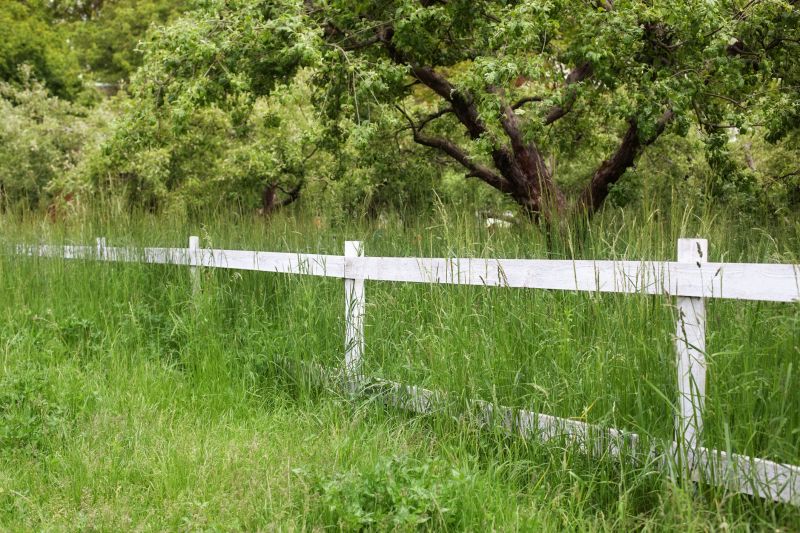 Fence Line Trimming