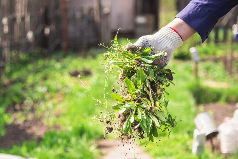 Groundskeeping Service