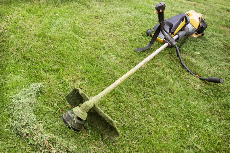 Hillside Weed Whacking