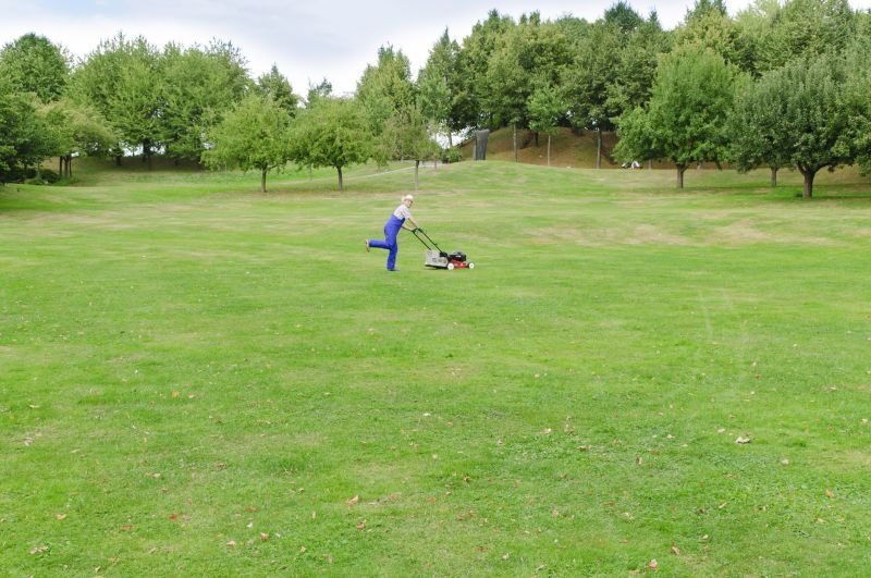 When To Get Lawn Mowing in Morrisville