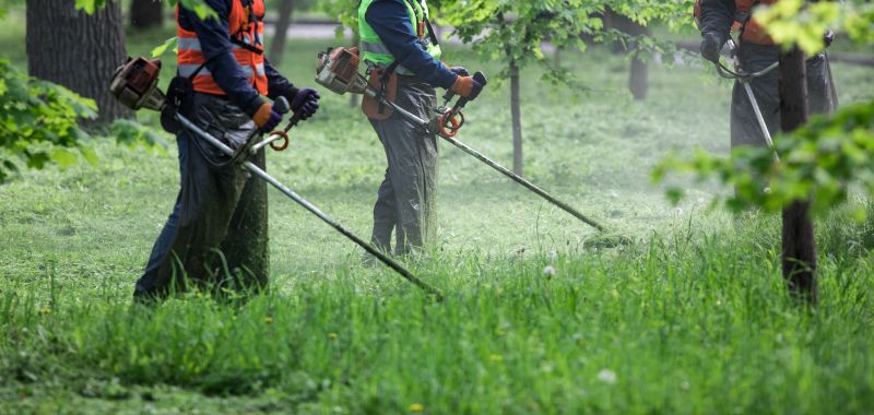 Lawn Weed Whacking