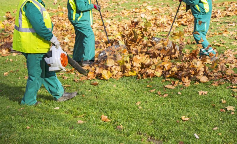 Leaves Mowing