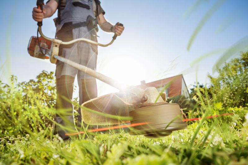 Spring Grass Trimming