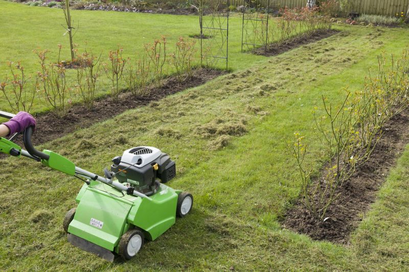 Thatch Removal Service
