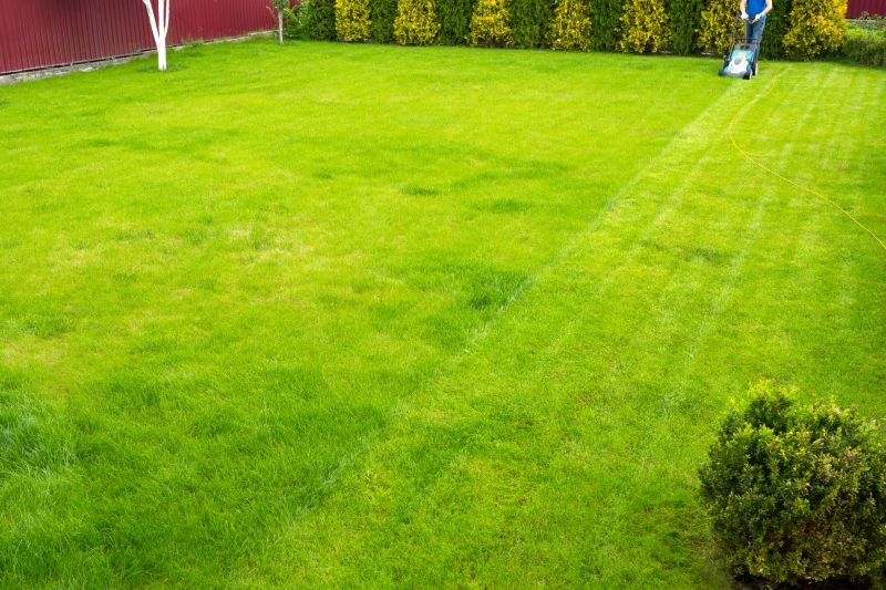 Weekly Lawn Maintenance