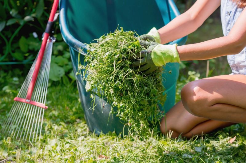 Yard Upkeep Service