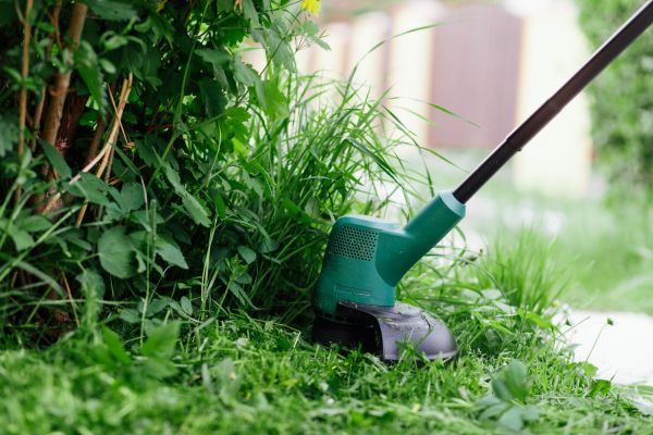 Weed Whacking in Morrisville