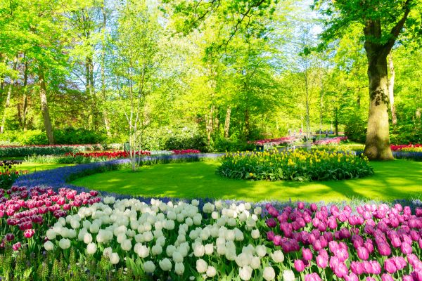 Cost of Spring Lawn Care in Morrisville