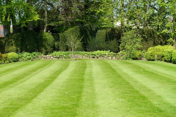 Grass Care Service in Morrisville