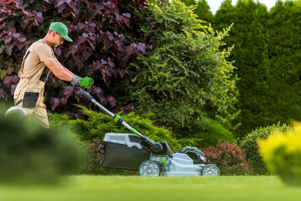Lawn Management in Morrisville