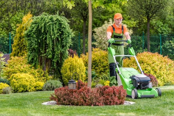 Commercial Yard Maintenance in Morrisville