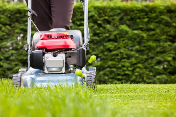 Grass Trimming Service in Morrisville