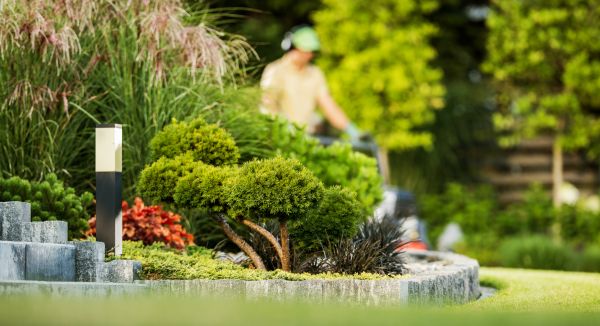 Residential Yard Maintenance in Morrisville