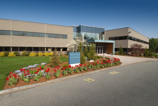 Commercial Groundskeeping in Morrisville