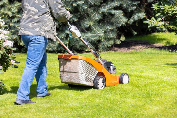 Springtime Lawn Care in Morrisville