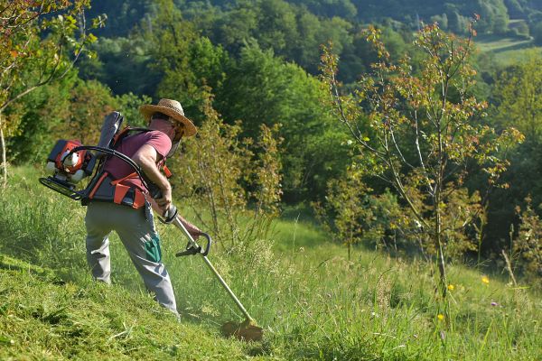 Slope Mowing in Morrisville