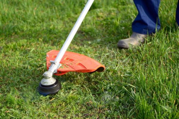 Cost of Lawn Weed Whacking in Morrisville