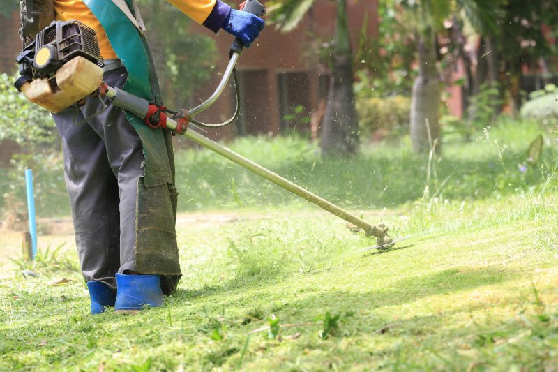 Business Grass Cutting
