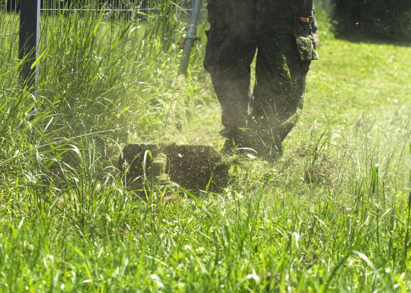 Business Grass Cutting