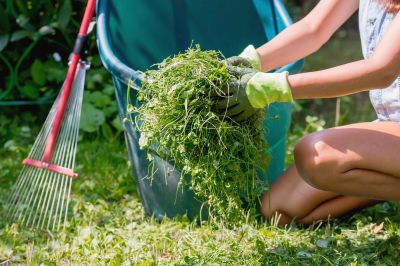 Business Groundskeeping