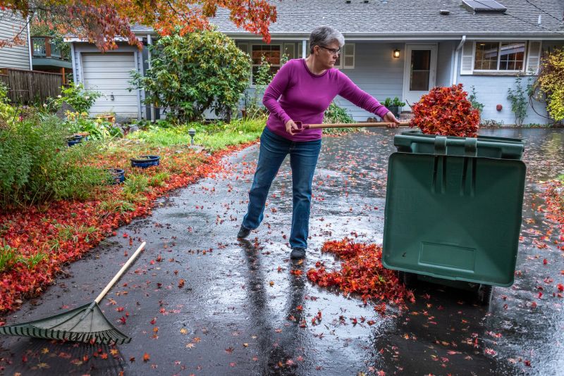 Clean Yard with Fallen Leaves