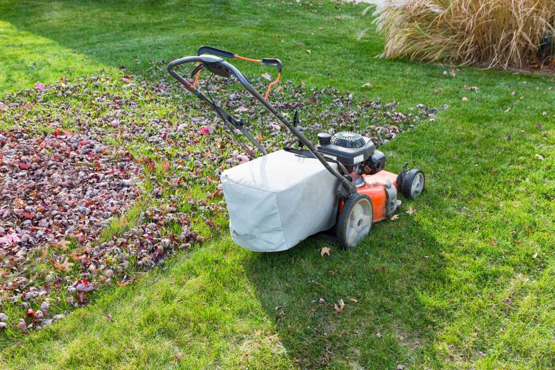 Seasonal Lawn Maintenance Tools