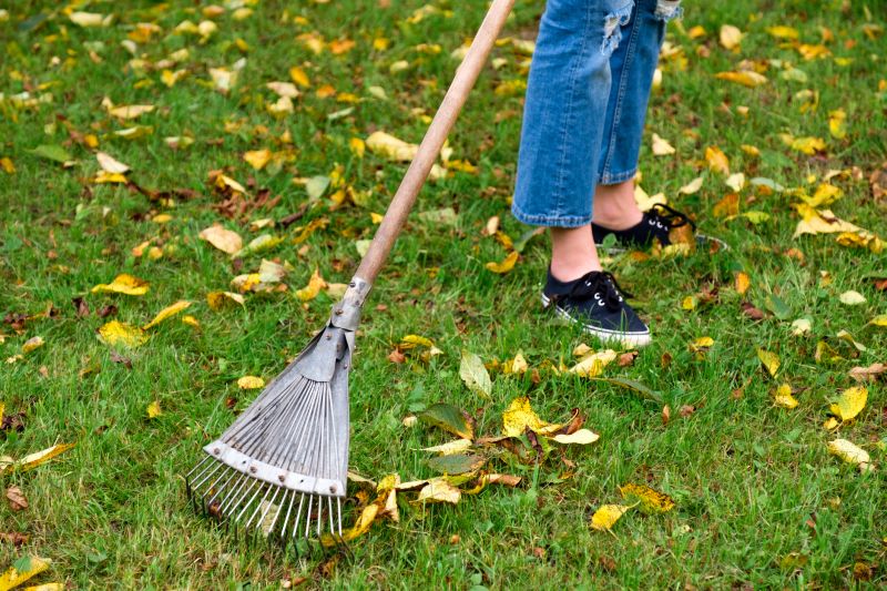 Autumn Lawn Care Tools