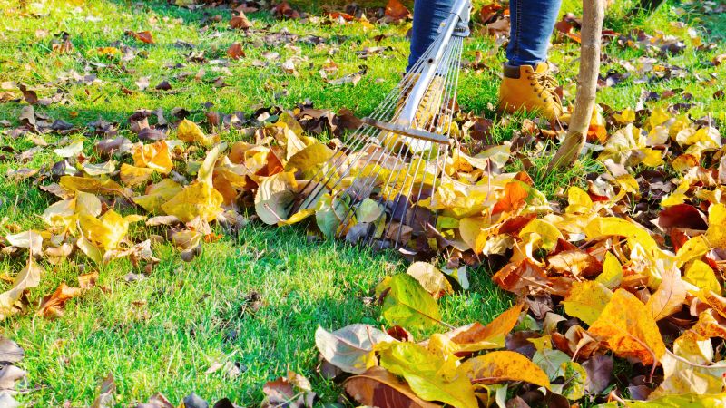 Fall Mowing