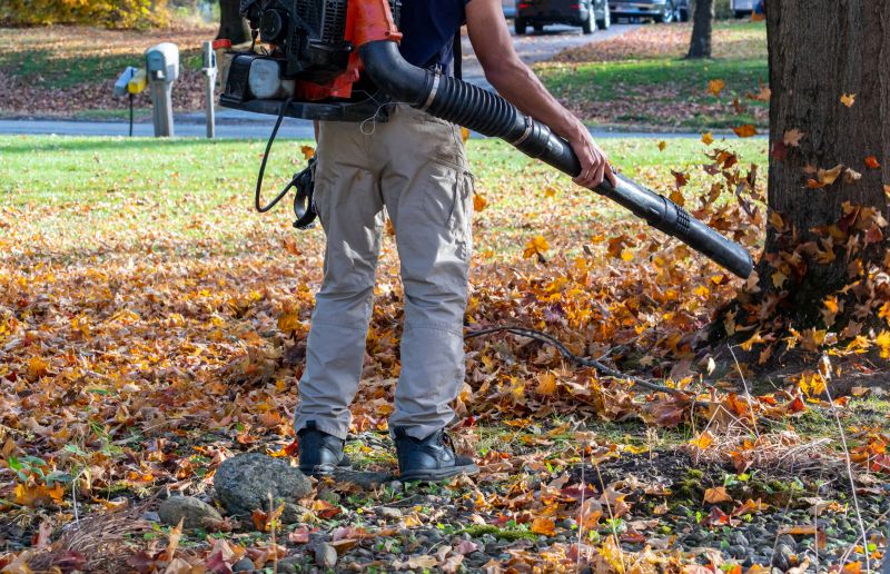 Fall Mowing