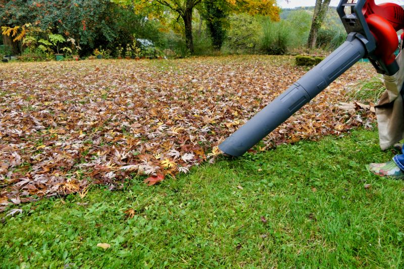 Fall Mowing