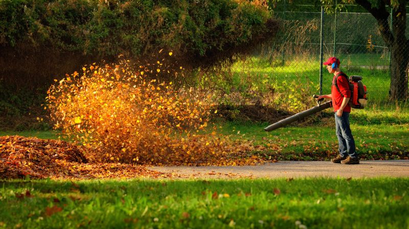 Fall Mowing