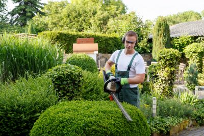Fence Line Trimming