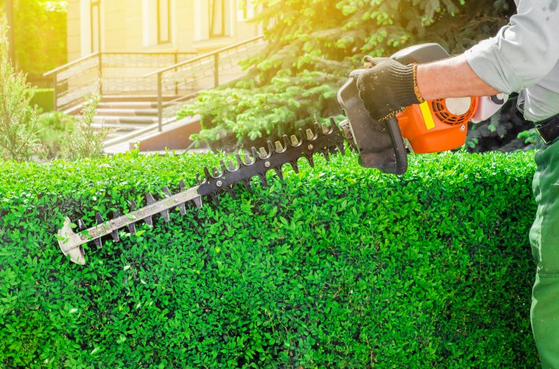 Fence Line Trimming