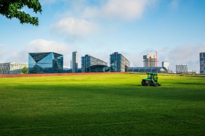 Commercial Lawn Mowing detail