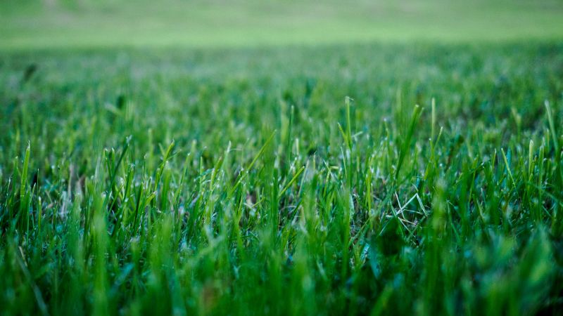 Grass Mowing detail