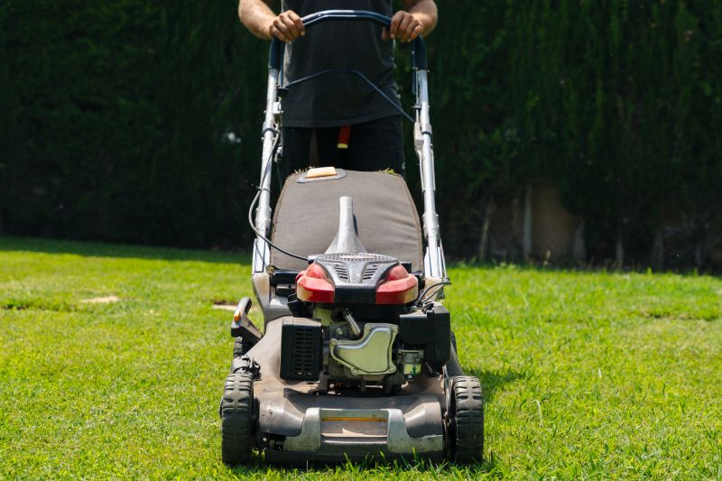 Lawn Maintenance detail