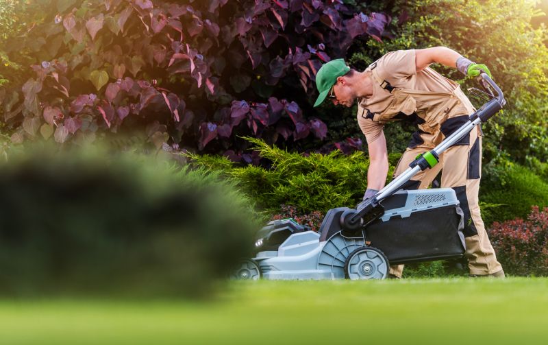 Lawn Mowing detail