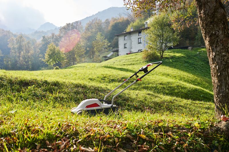 Lawn Mowing detail