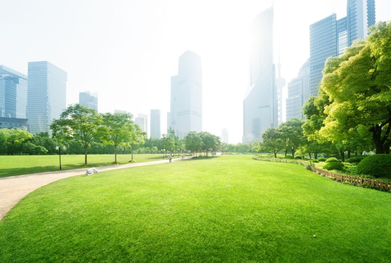 Residential Lawn Care detail