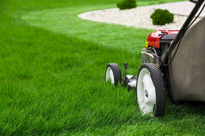 Yard Mowing detail