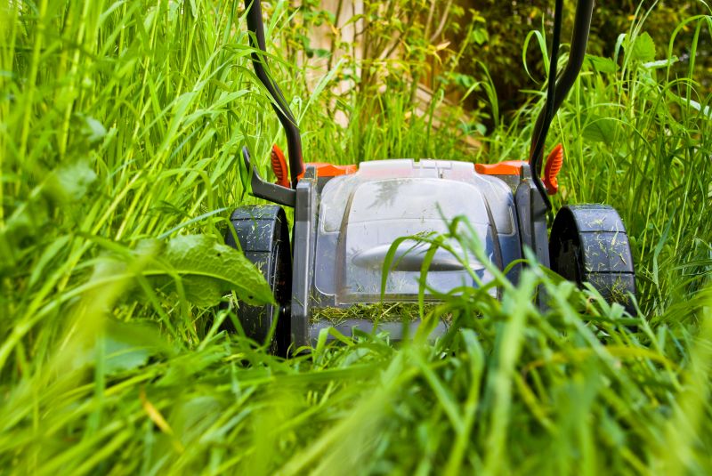 Yard Mowing detail