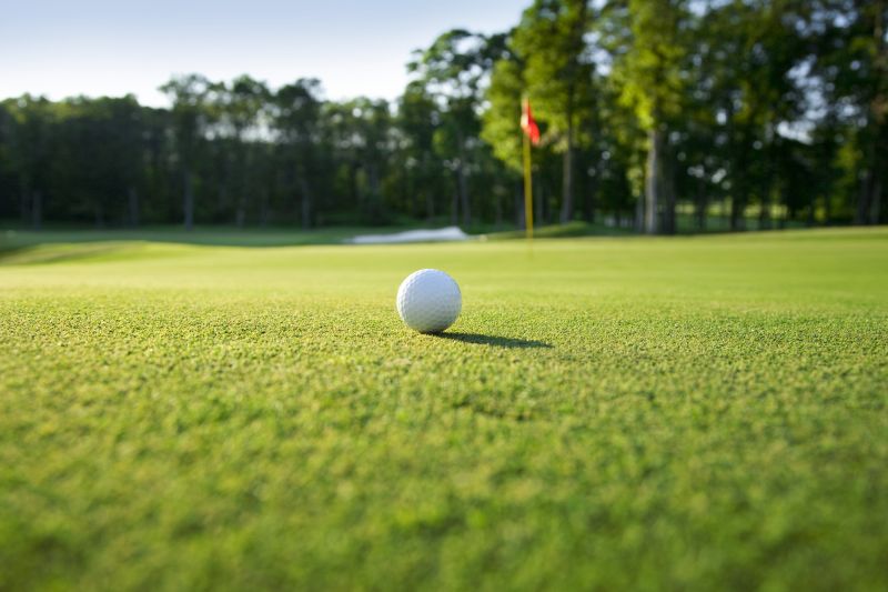 Golf Course Lawn Care
