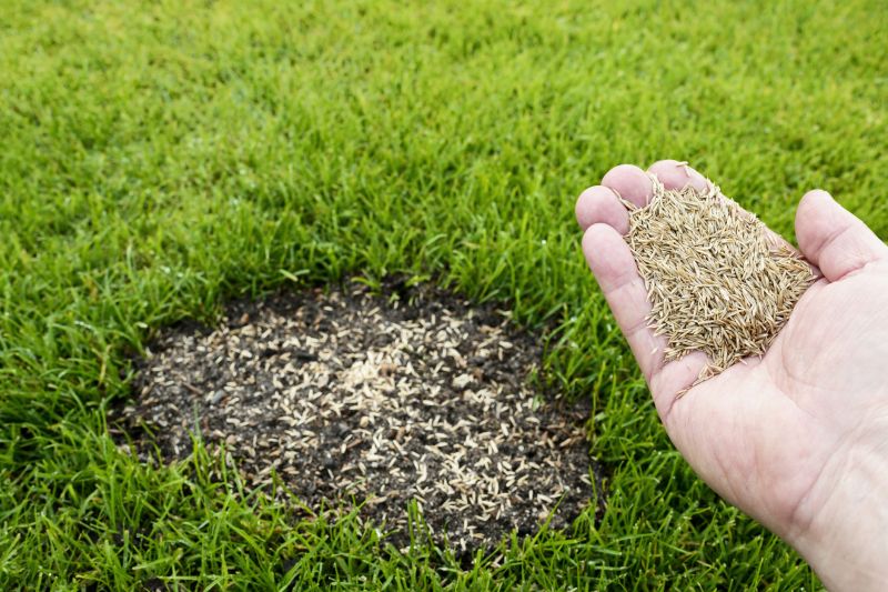 Grass Care Service