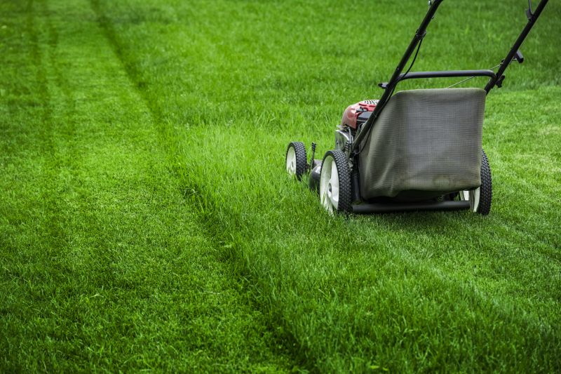 Grass Mowing