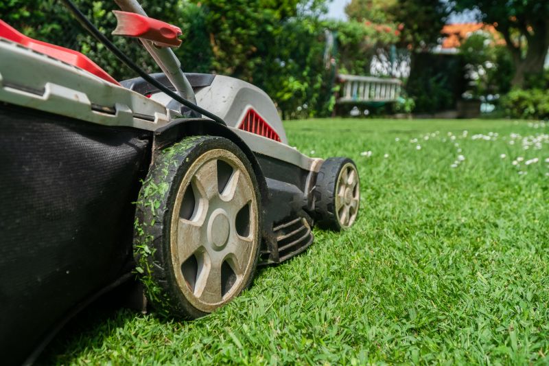 Grass Mowing