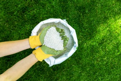 Grass Topdressing
