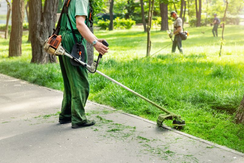 Grass Trimming Service
