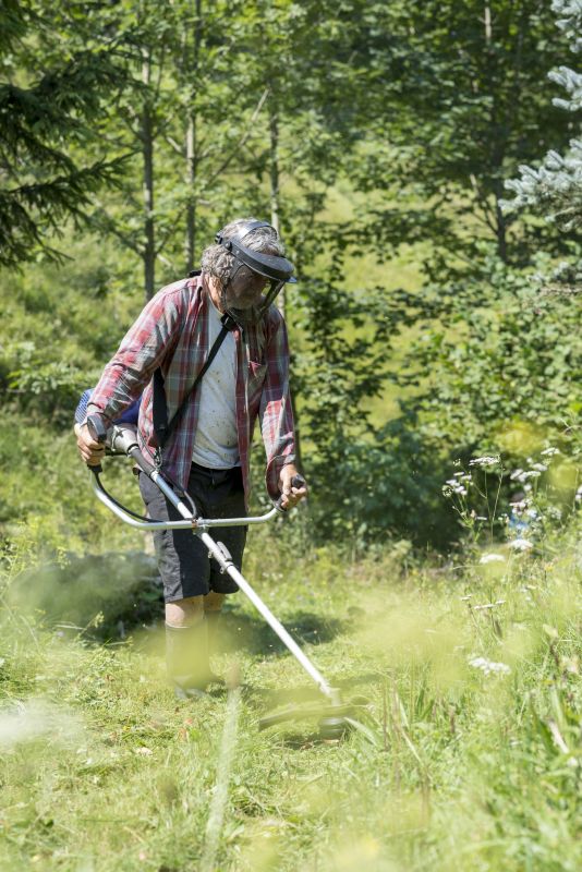 Grass Trimming Service