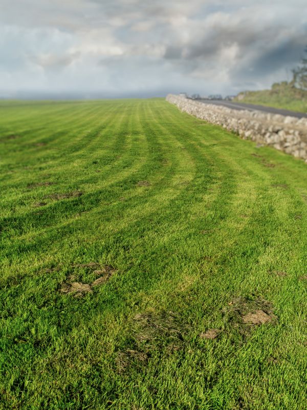 Groundskeeping Service