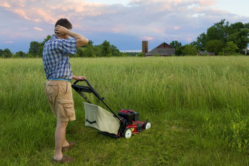 Hillside Mowing